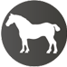 eulit_horse