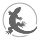 h_lizard