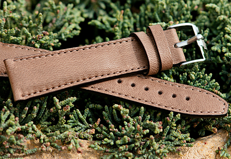 Eulux Cavallo Sport 01