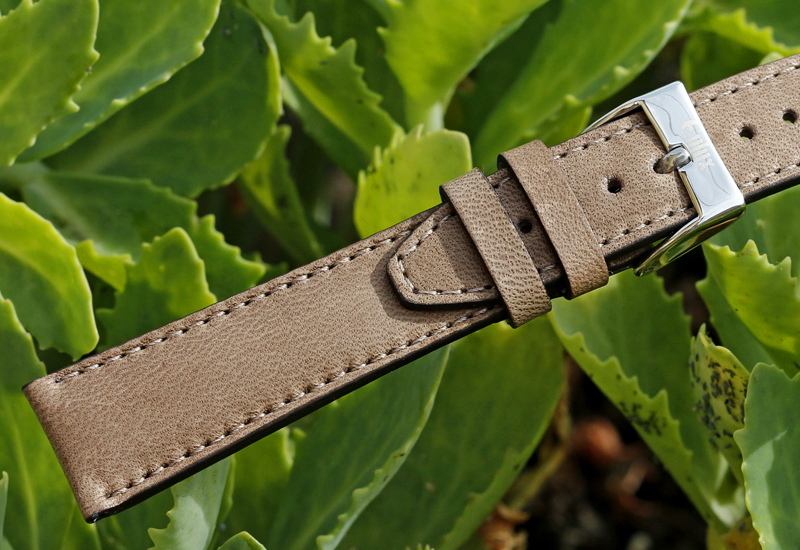Eulux Cavallo Sport 12