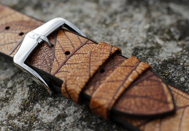 review_leaf_02