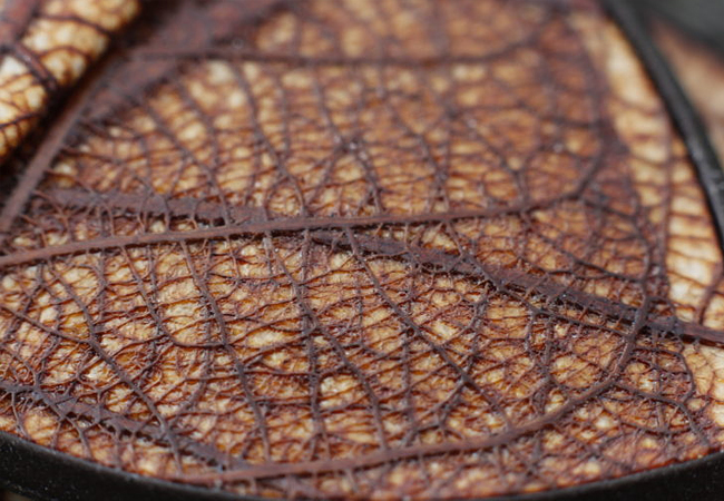 review_leaf_14