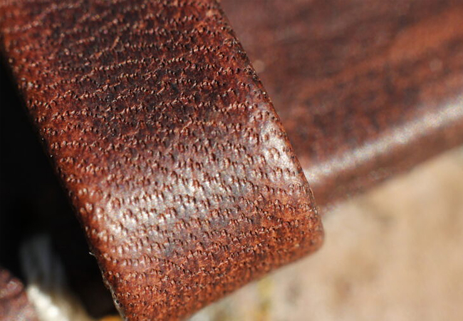 review_ranger_04