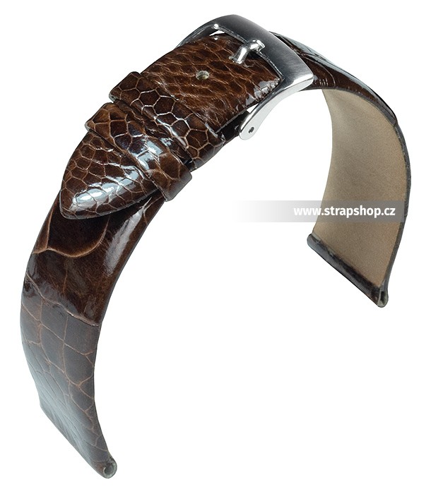 Řemínek k hodinkám BARINGTON Ostrich leg - tmavě hnědá (27) 18 mm pánský