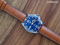 HIRSCH Paul  - Světle hnědá - Longines Hydroconquest