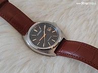 HIRSCH Duke - zlatohnědá - Citizen Elegant