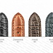 CAMPAGNOLO Alligatori
