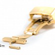 HIRSCH Pusher Gold